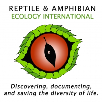 The Biodiversity Group Logo